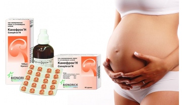 Фото: Препарат канефрон при гестозе у беременных